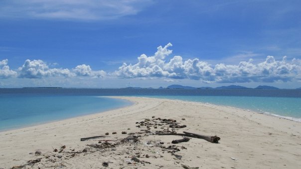 n120802809_39833584_3952