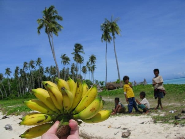 n120802809_39833587_4819