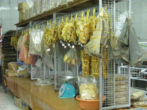 n120802809_39848985_3925