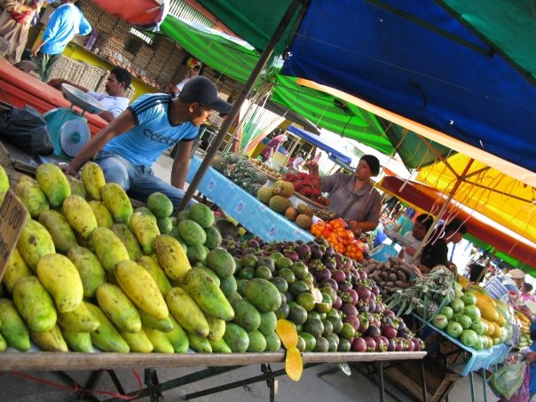 n120802809_39848988_4655