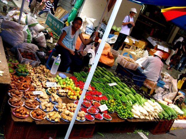 n120802809_39856752_6827