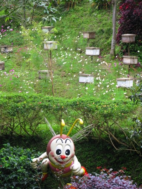 n120802809_39887706_8010