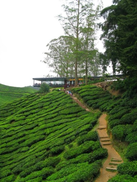 n120802809_39887719_6451