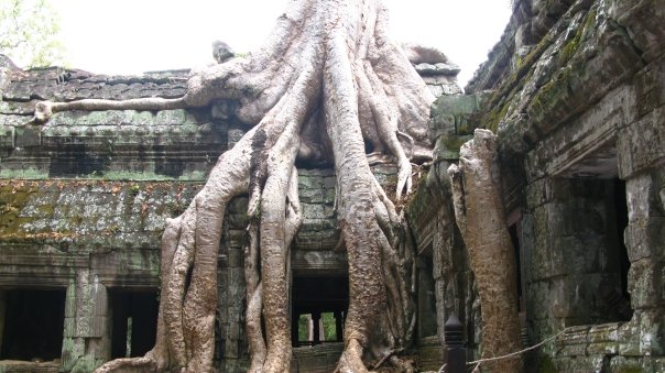 n120802809_39949413_3054