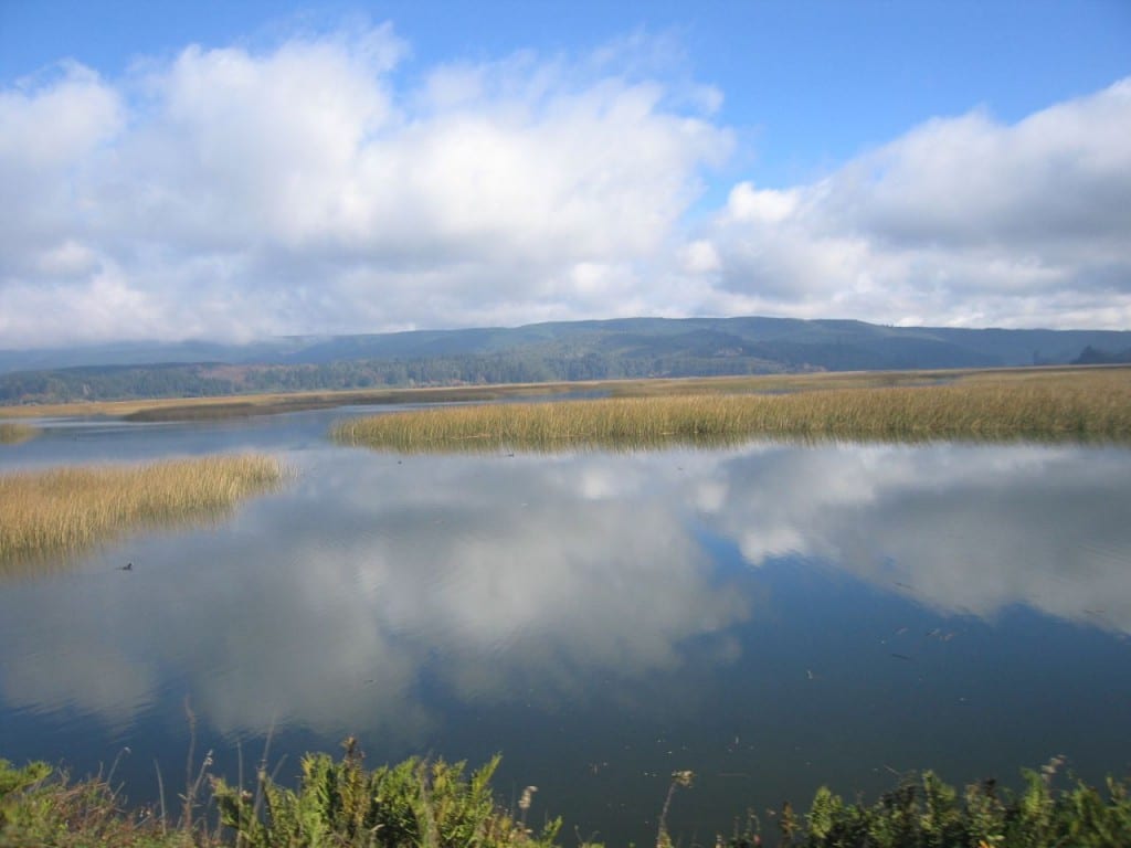 Travel to Pucon, Chile