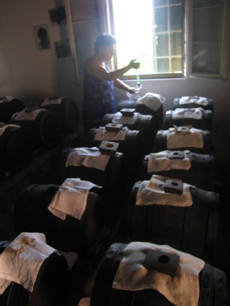 Travel to Modena, Italy