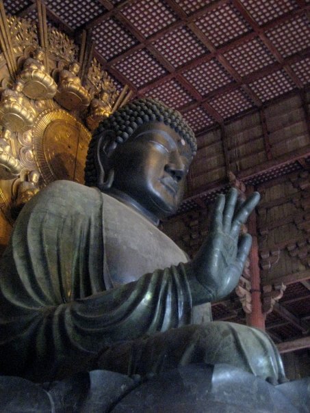 Travel to Nara, Japan