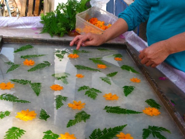 Travel to Luang Prabang, Laos