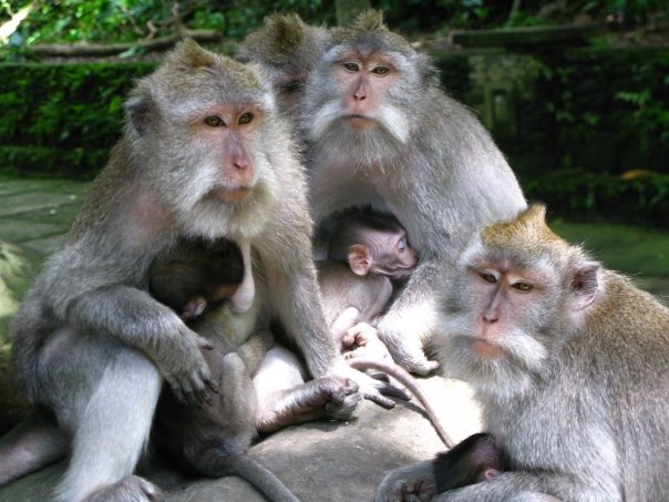 n120802809_40779927_3603291