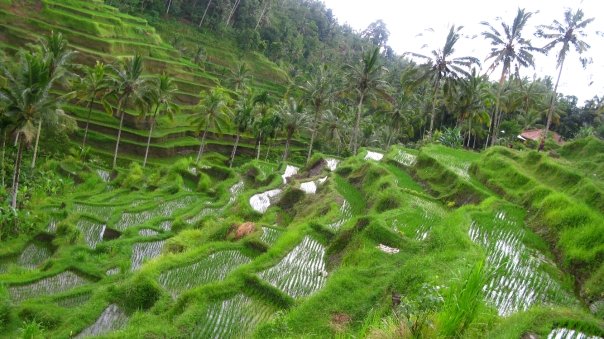 n120802809_40783628_125291