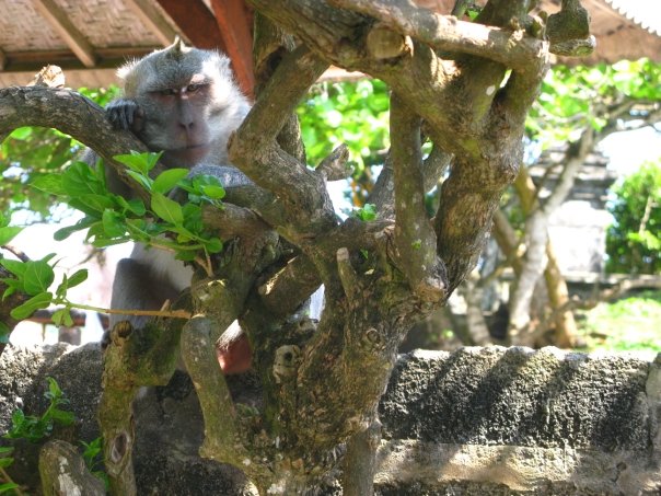 n120802809_40784011_3425886