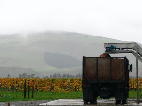 New Zealand Love. Queenstown to Christchurch and Waipara Wine Country