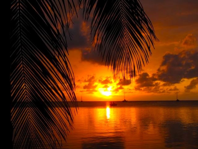 Travel to Caye Caulker, Belize