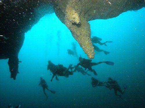 Scuba Diving Half Moon Caye and The Blue Hole, Belize