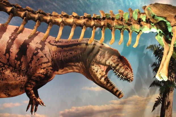 Ultimate Dinosaurs at the ROM
