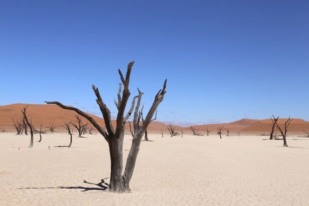 Travel to Sossusvlei, Namibia