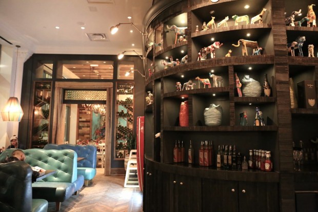 Nando's Toronto is a South African restaurant that specializes in Portuguese roast chicken.