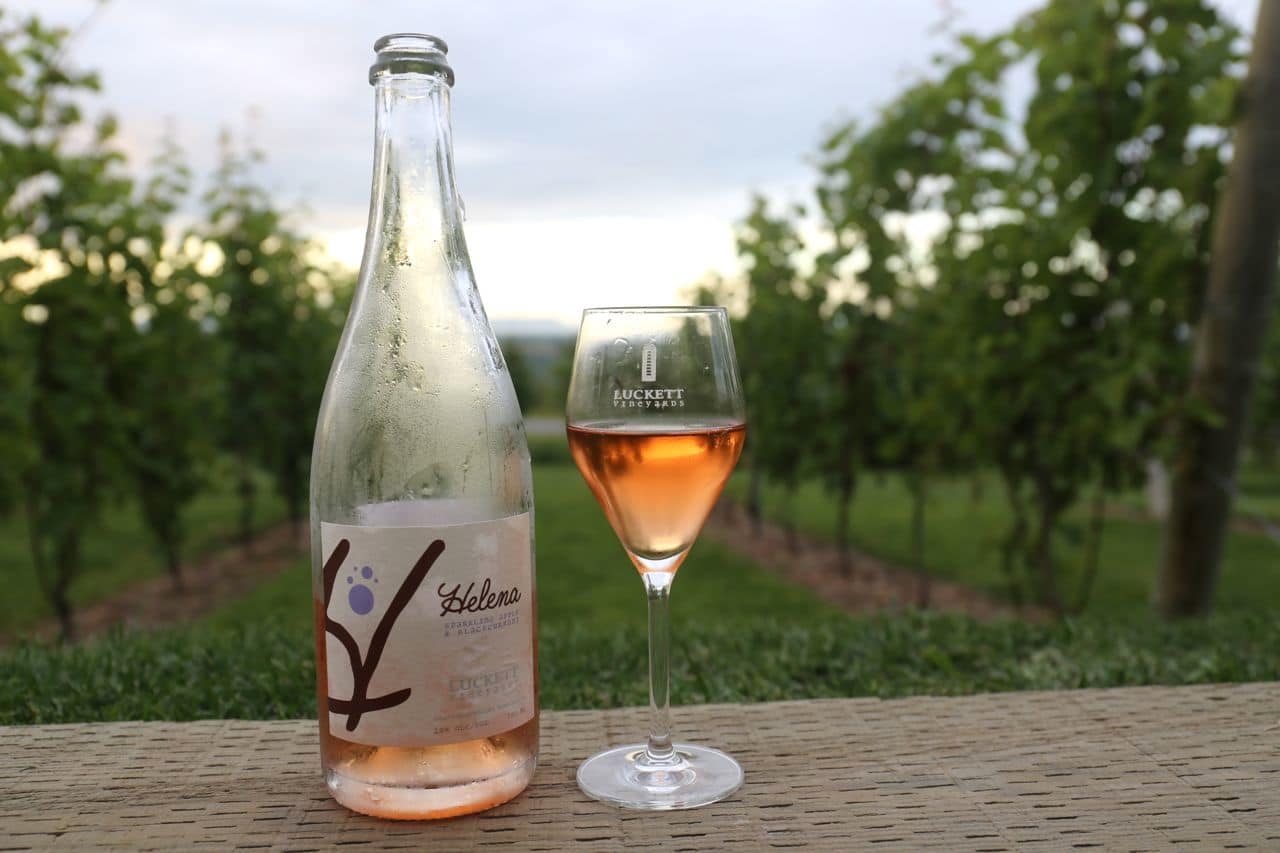 Sipping Luckett Vineyard wine at sunset.