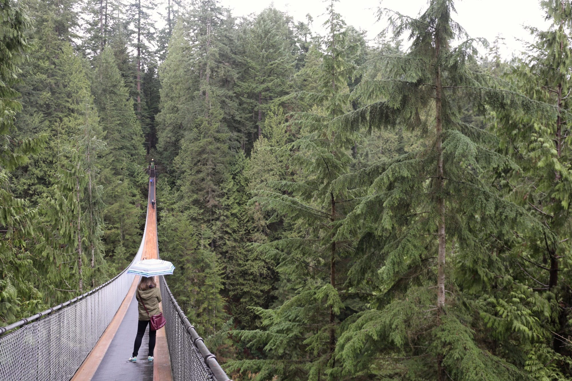 After visiting the Capilano Suspension Bridge dine at the attractions family-friendly restaurant.