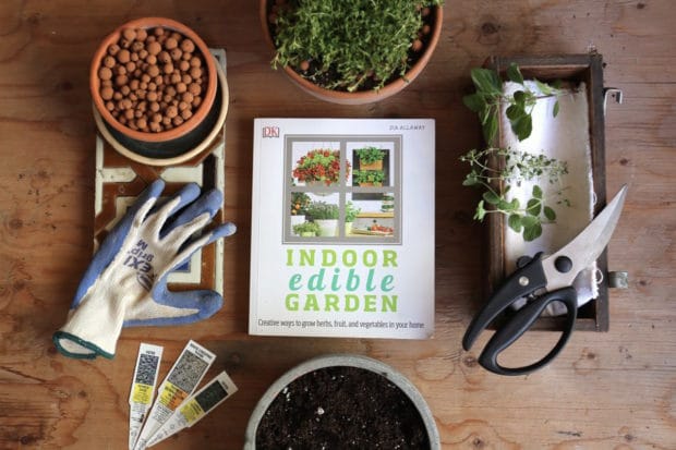 Here’s How to Grow an Enviable Indoor Edible Garden in the City