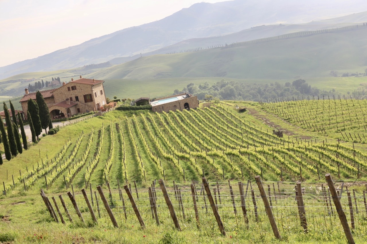 Agriturismo Volterra Podere Marcampo is located on an award-winning vineyard.