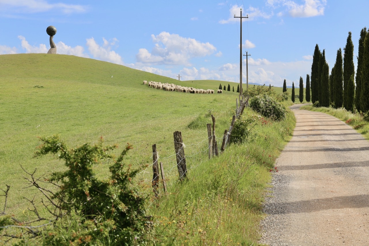 Sheep graze around Fattoria Lischeto's Equanimity sculpture.