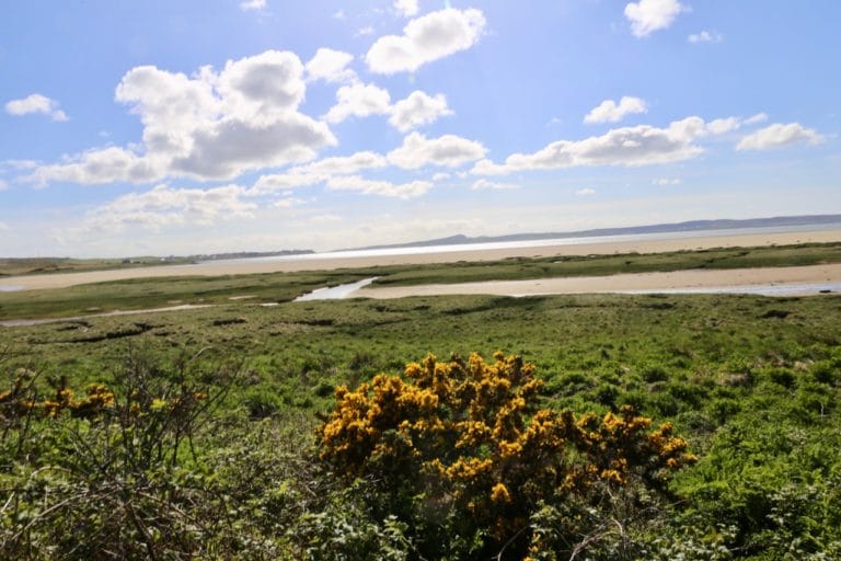 [UPDATED 2020] Islay Distilleries: Scotland's Whisky Island