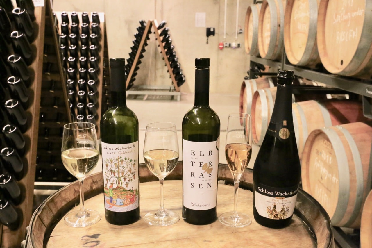 Enjoy a wine tasting in Saxony at Wackerbarth Winery.