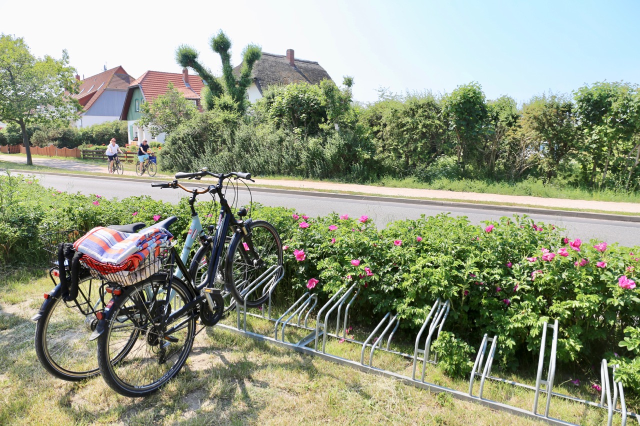 The best way to travel around the beaches in Germany is by renting a bike.