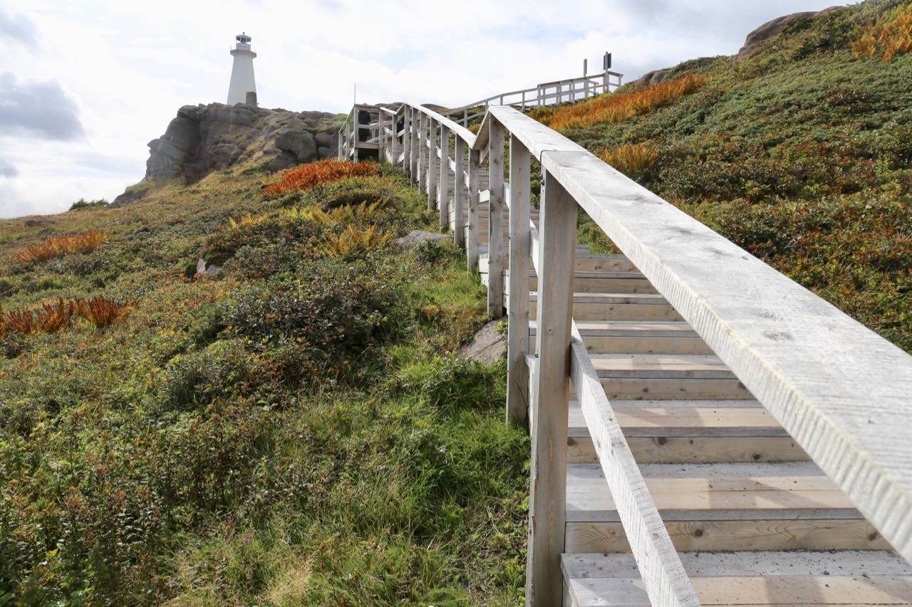 Things To Do in St. John's Newfoundland: Hike to the historic Cape Spear Lighthouse.