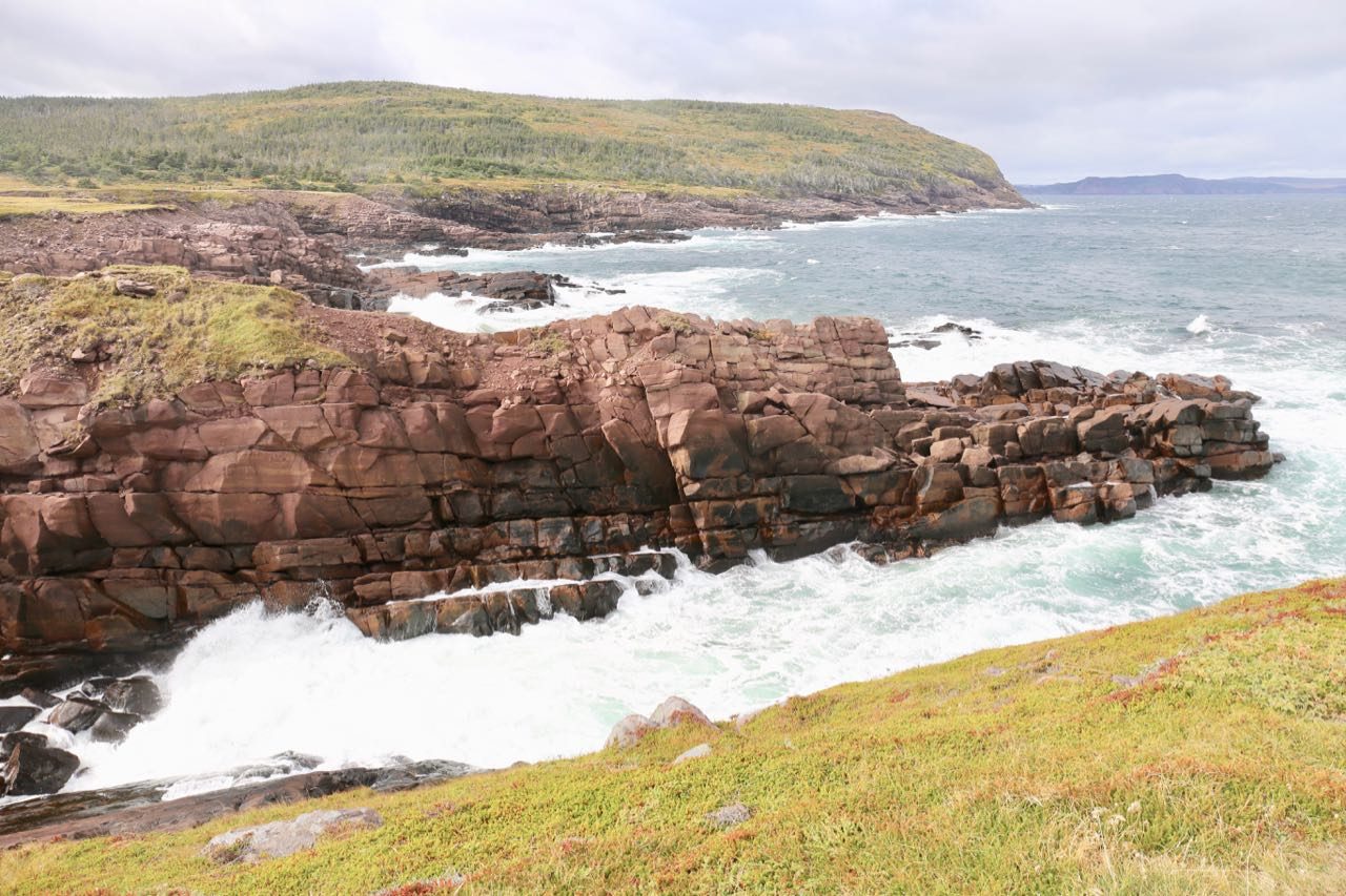 Hike the East Coast Trail to Signal Hill.