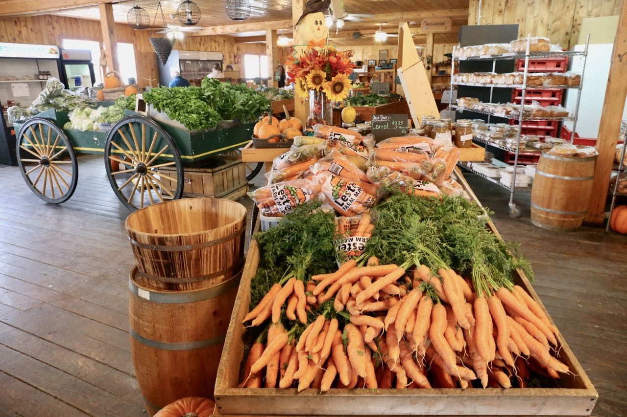 Lester Farm Market is the best place in St. John's to buy fresh local produce and baked goods.