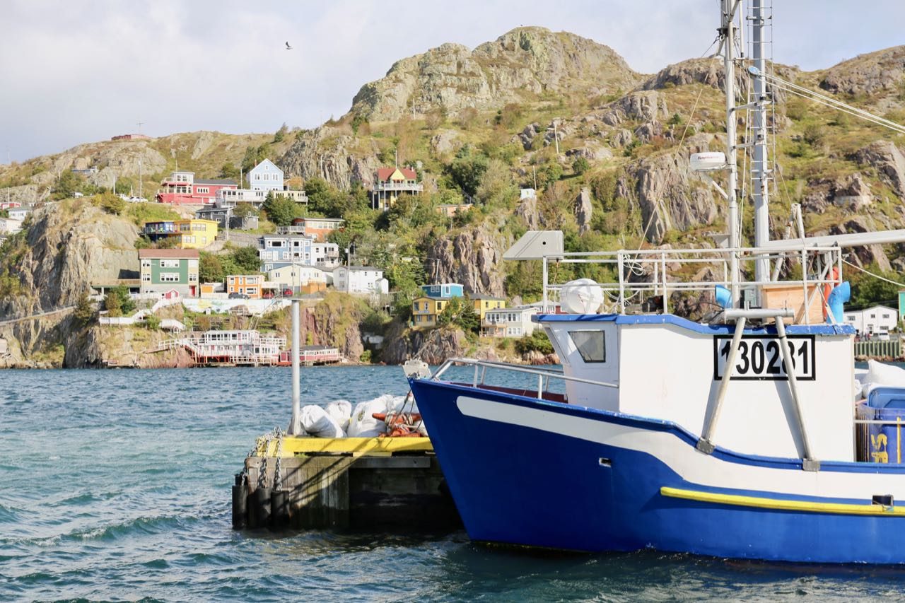 Best Things To Do in St. John’s Newfoundland 2025