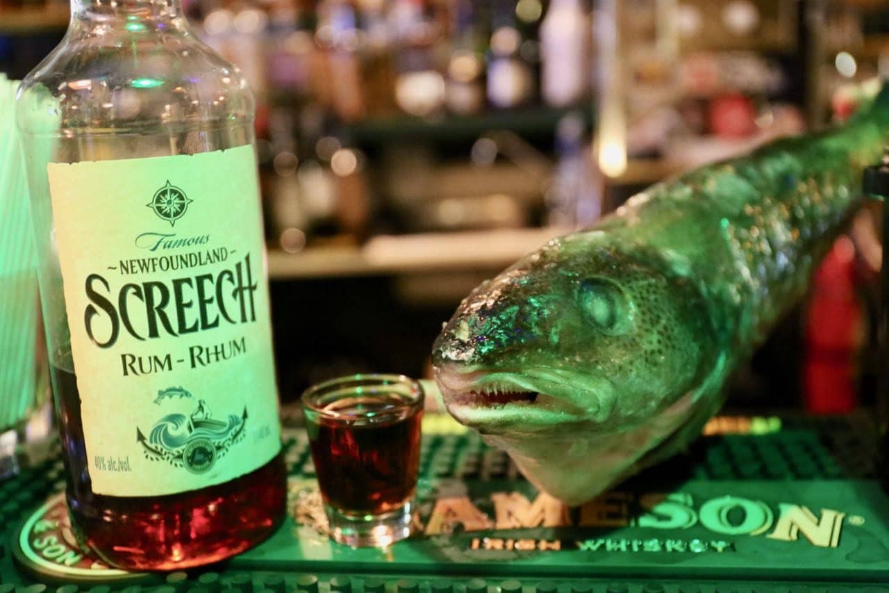 Things To Do in St. John's Newfoundland: Get Screeched-in at Christians Bar.