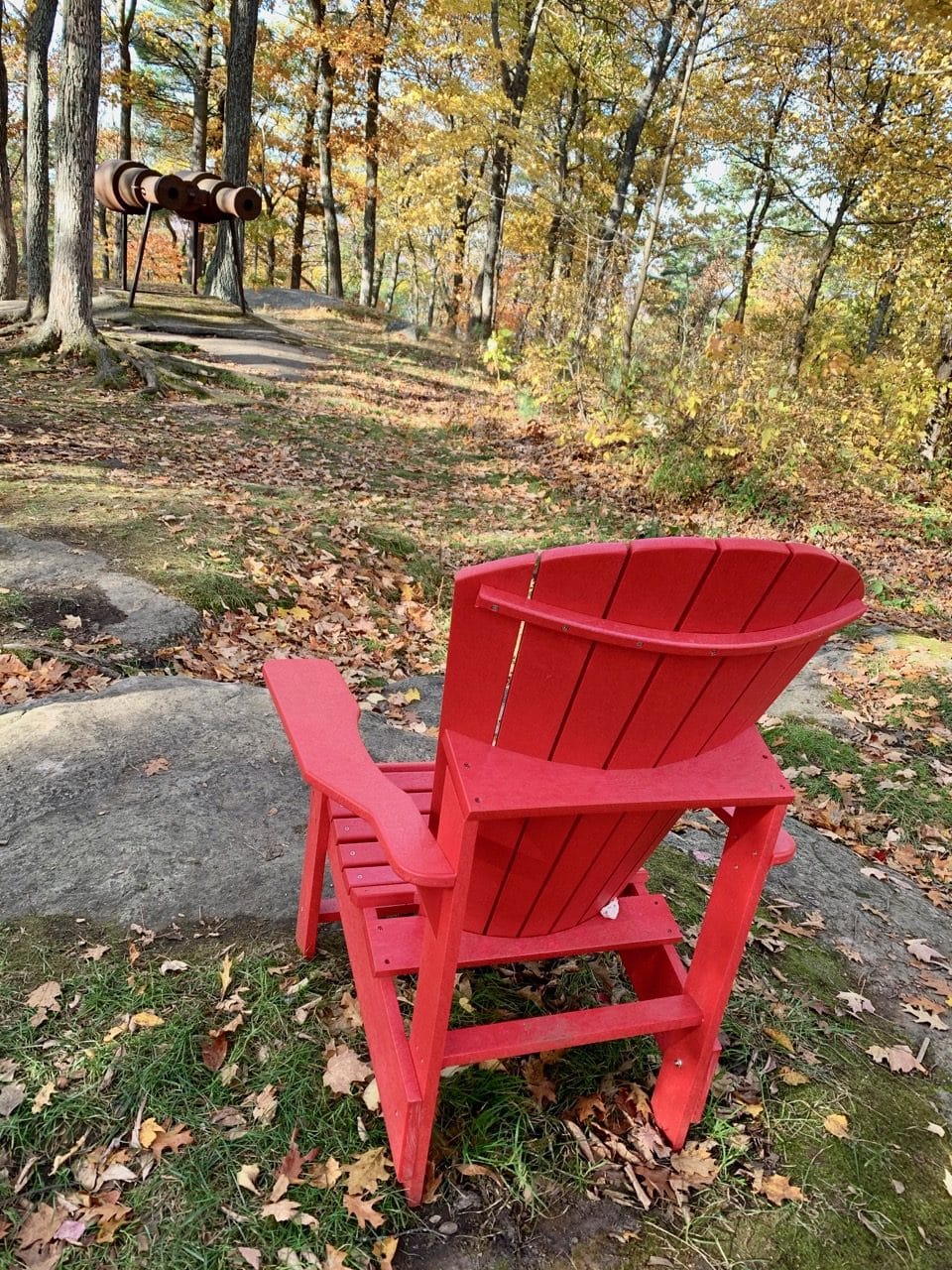 A giant binocular sculpture offers fun for families visiting Dorset's famous nature park.
