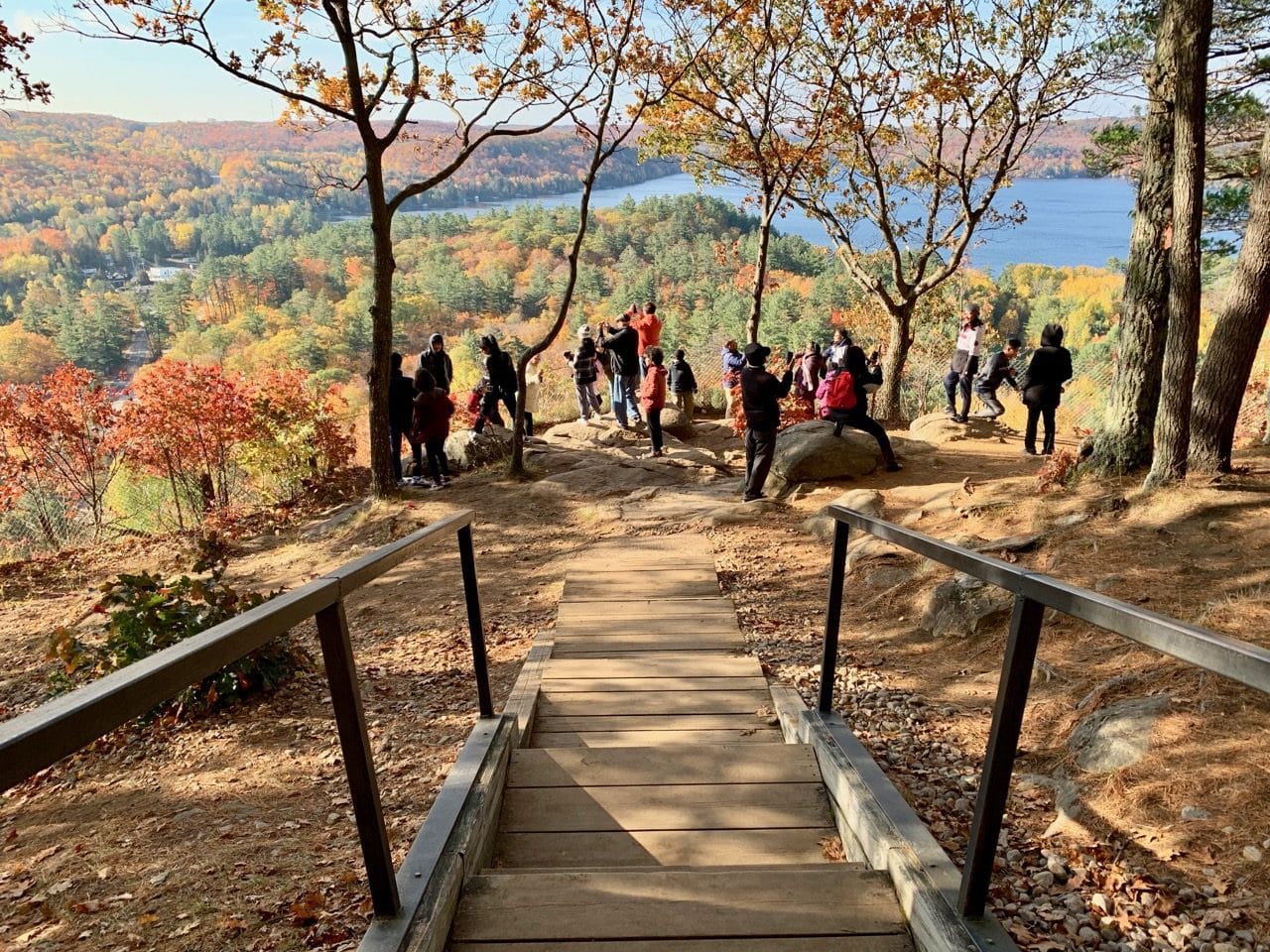 Tourists take serious selfies over Lake of Bays.
