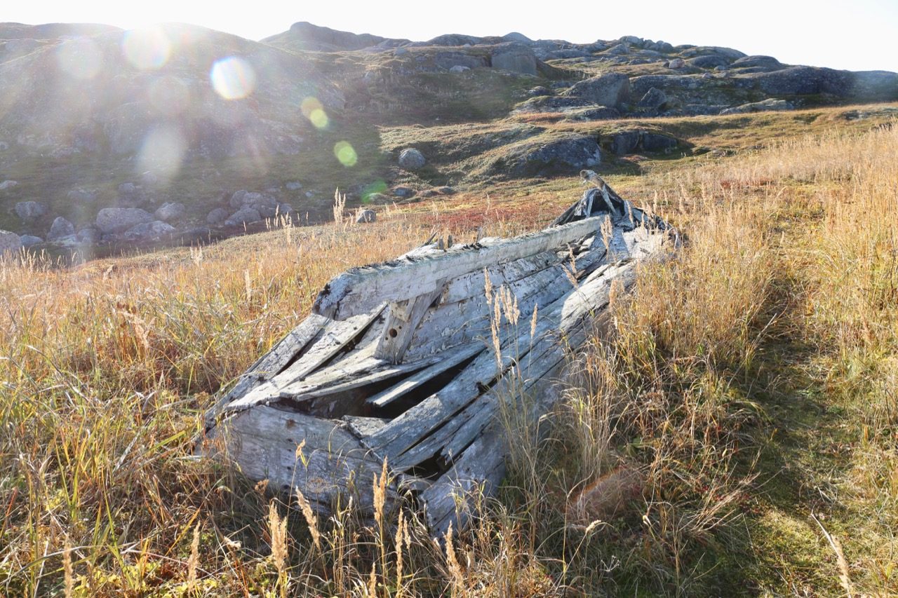 Visit a 15th century Basque whaling site on a hike around Saddle Island, Labrador.