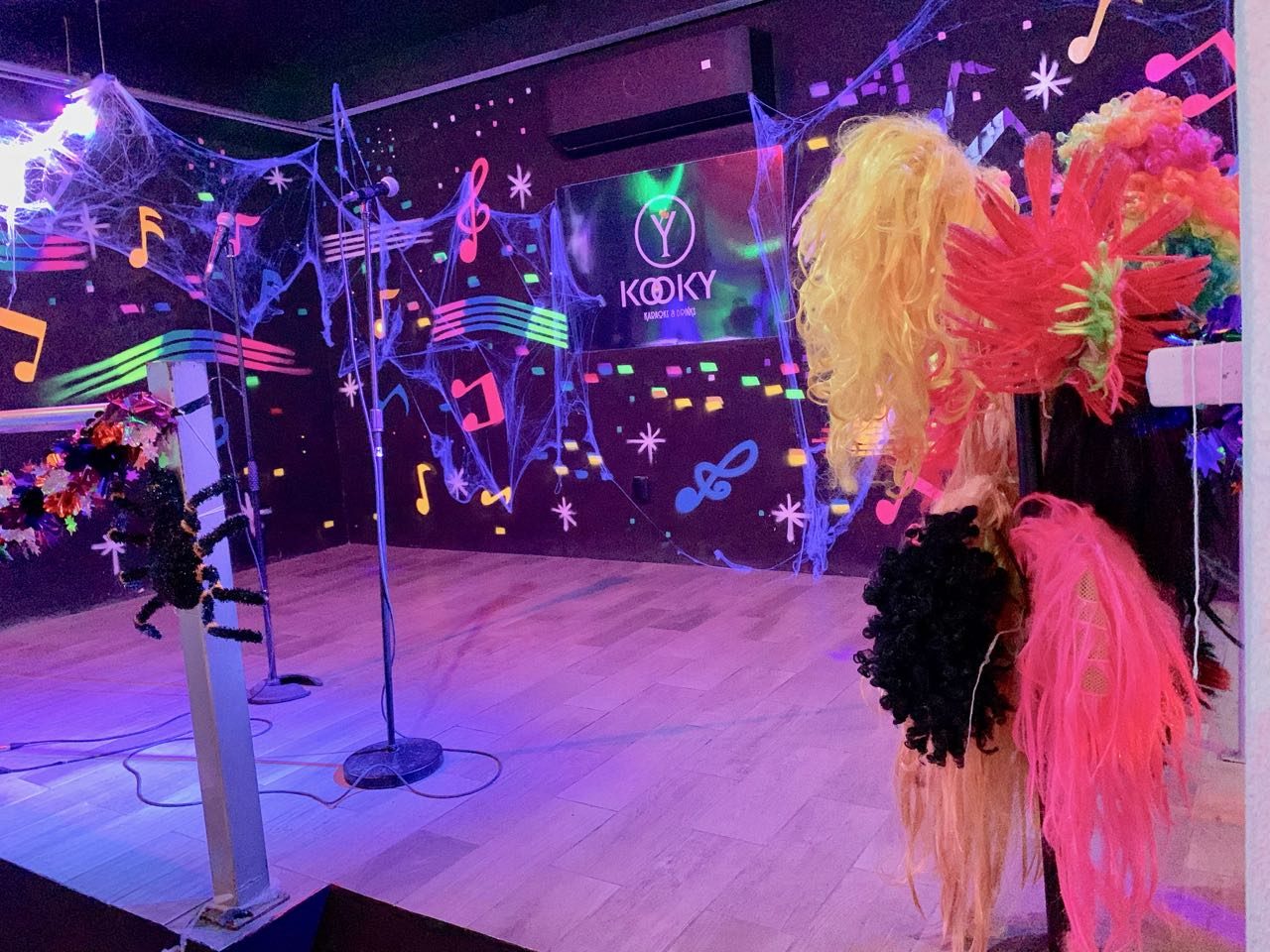 Gay Bars Puerto Vallarta: Sing your heart out at Kooky Karaoke.