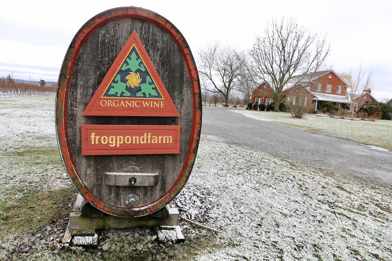 Frogpond Farm Organic Winery is a family-friendly vineyard in Niagara on the Lake.