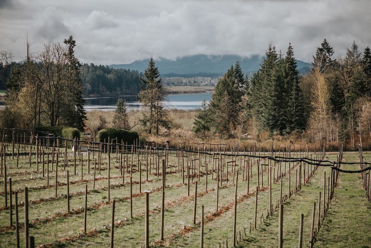 Scenic views at Emandare Vineyard. Photo Sweet Heirloom Photography.