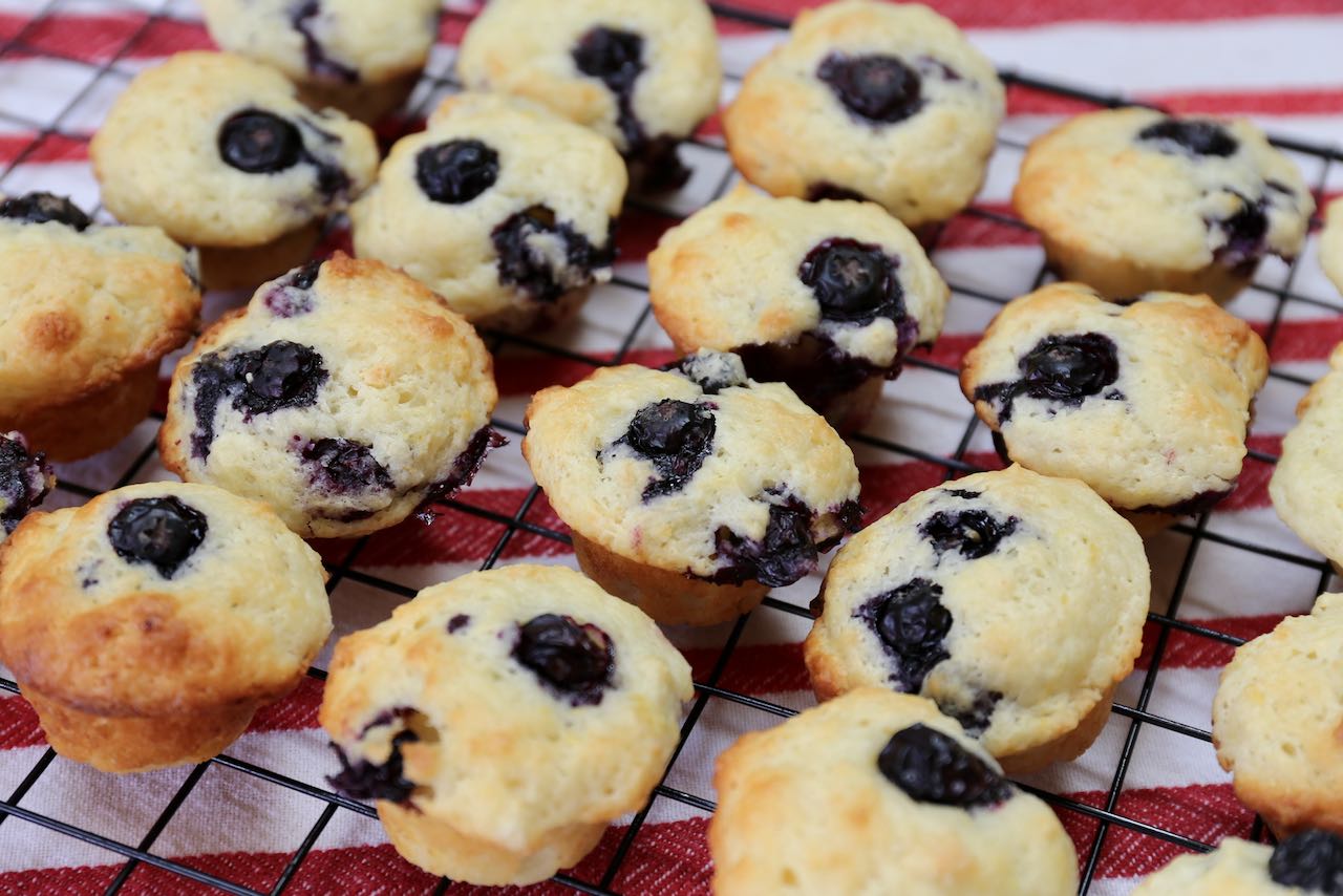 Wild Blueberry Mini-Muffins Recipe 
