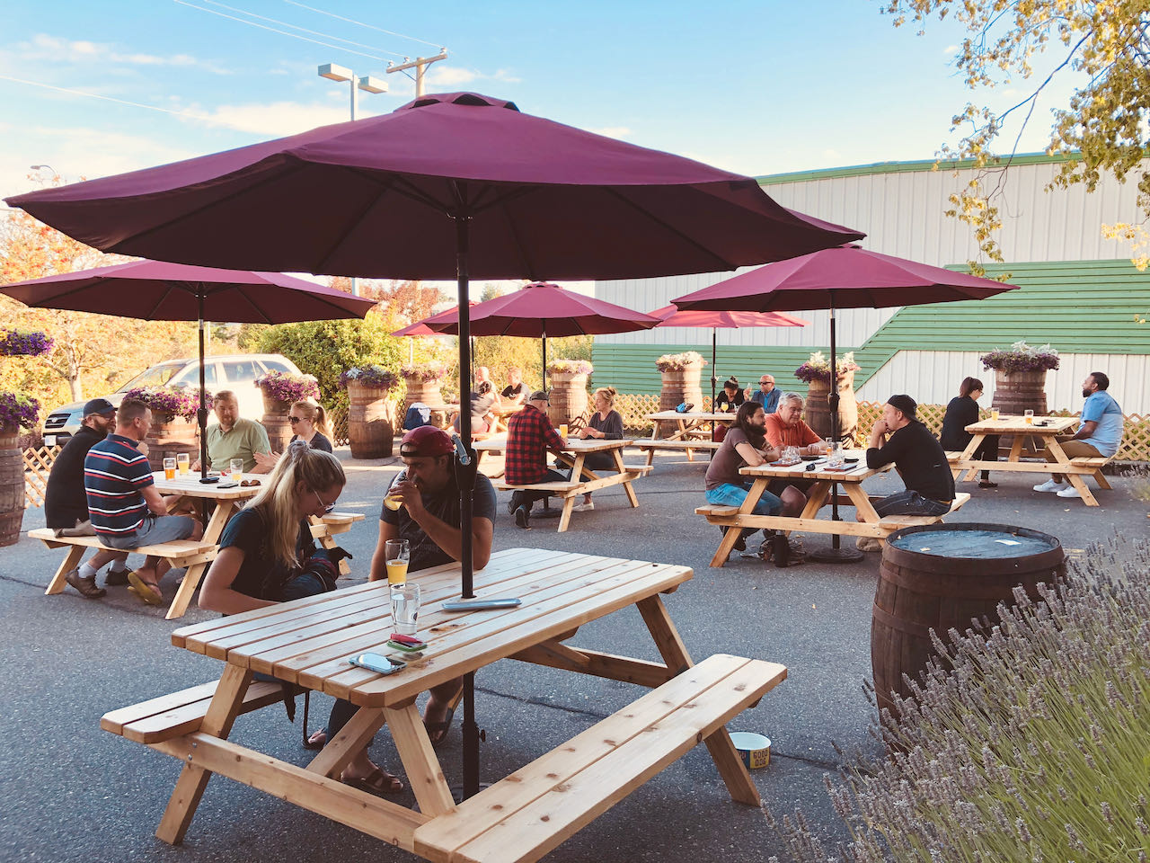 Enjoy a craft beer and whisky tasting at Twa Dogs Brewery near Victoria