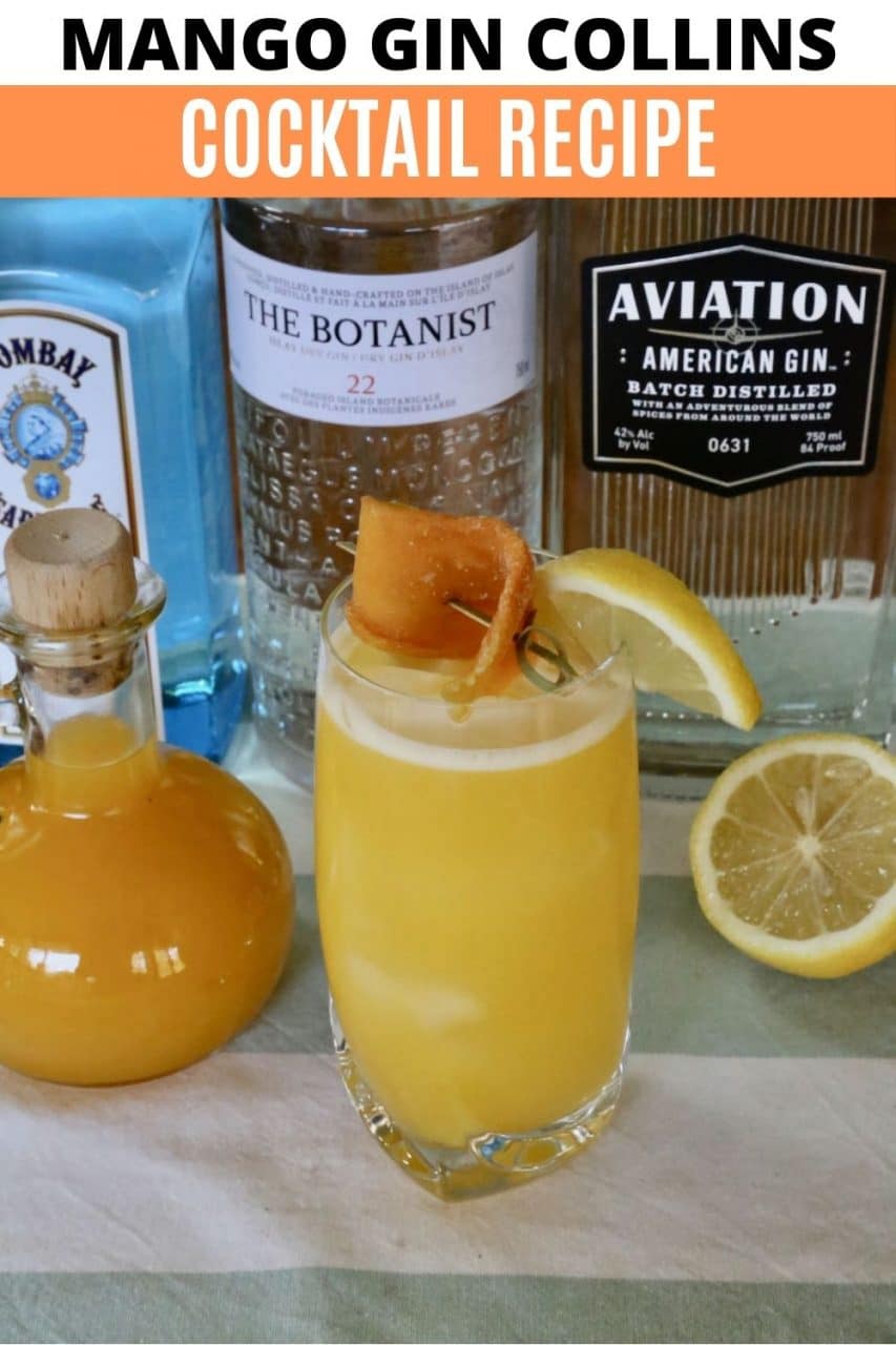 Save our Mango Gin Cocktail recipe to Pinterest!