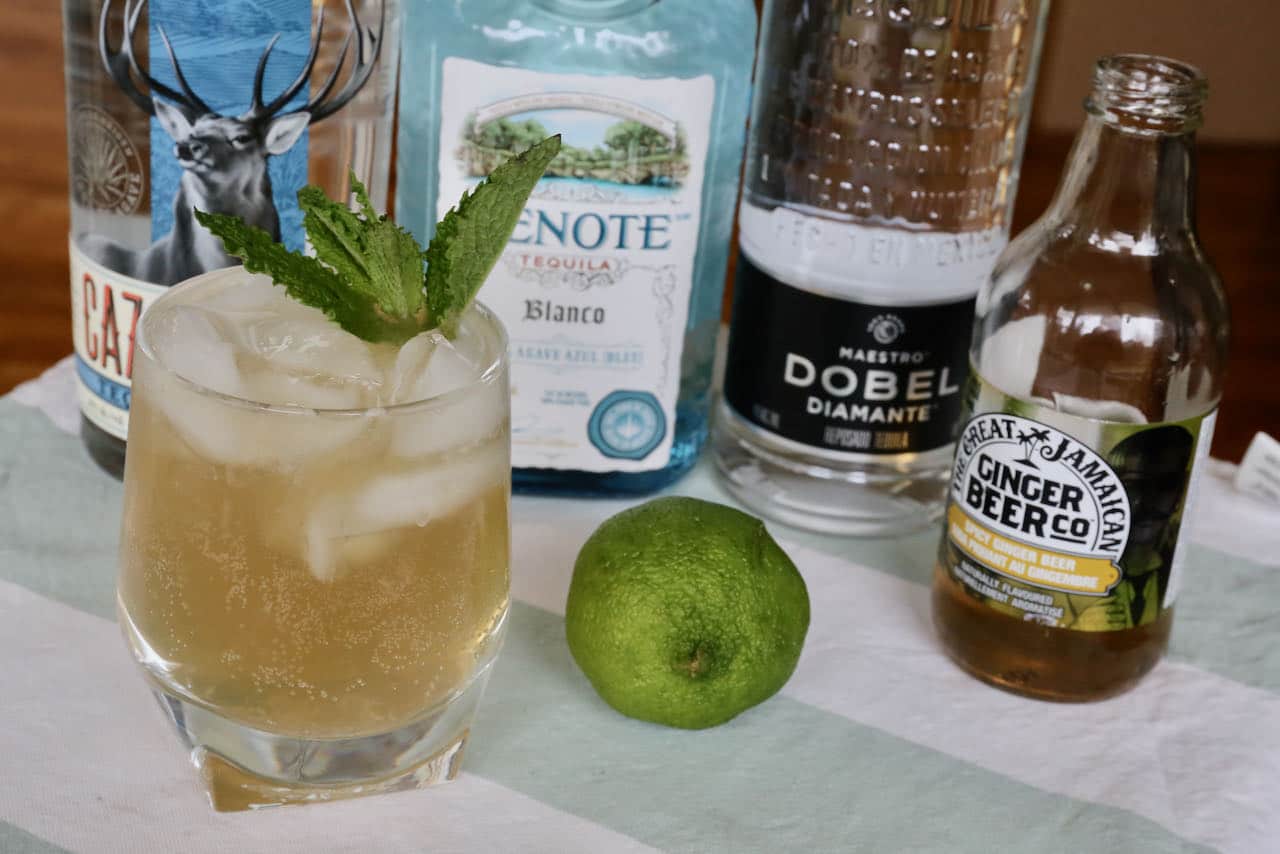 Our homemade Mexican Mule recipe features lime juice, ginger beer and mint.