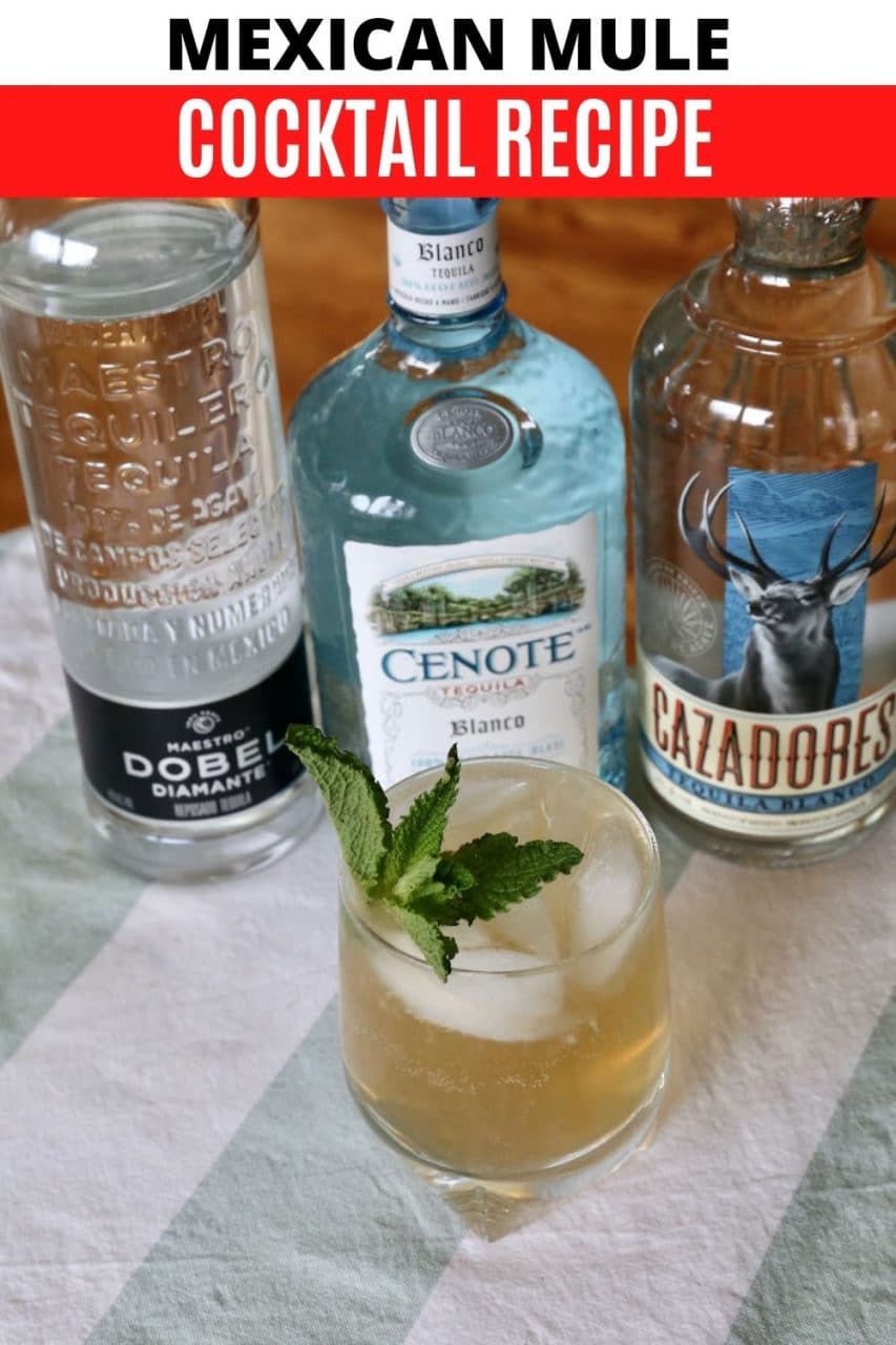 Save our easy Mexican Mule cocktail recipe to Pinterest!