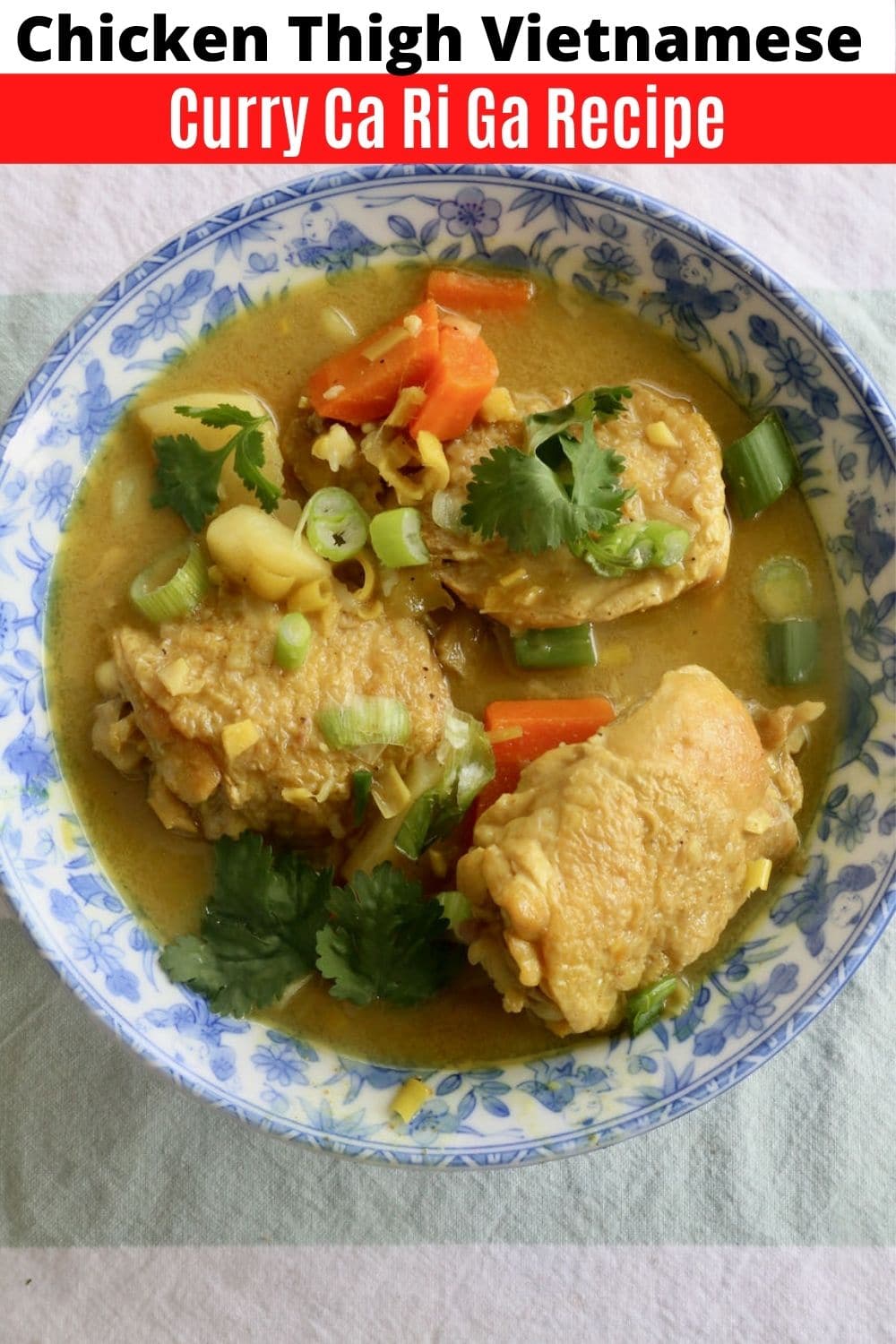 Ca Ri Ga Vietnamese Chicken Curry Recipe | dobbernationLOVES