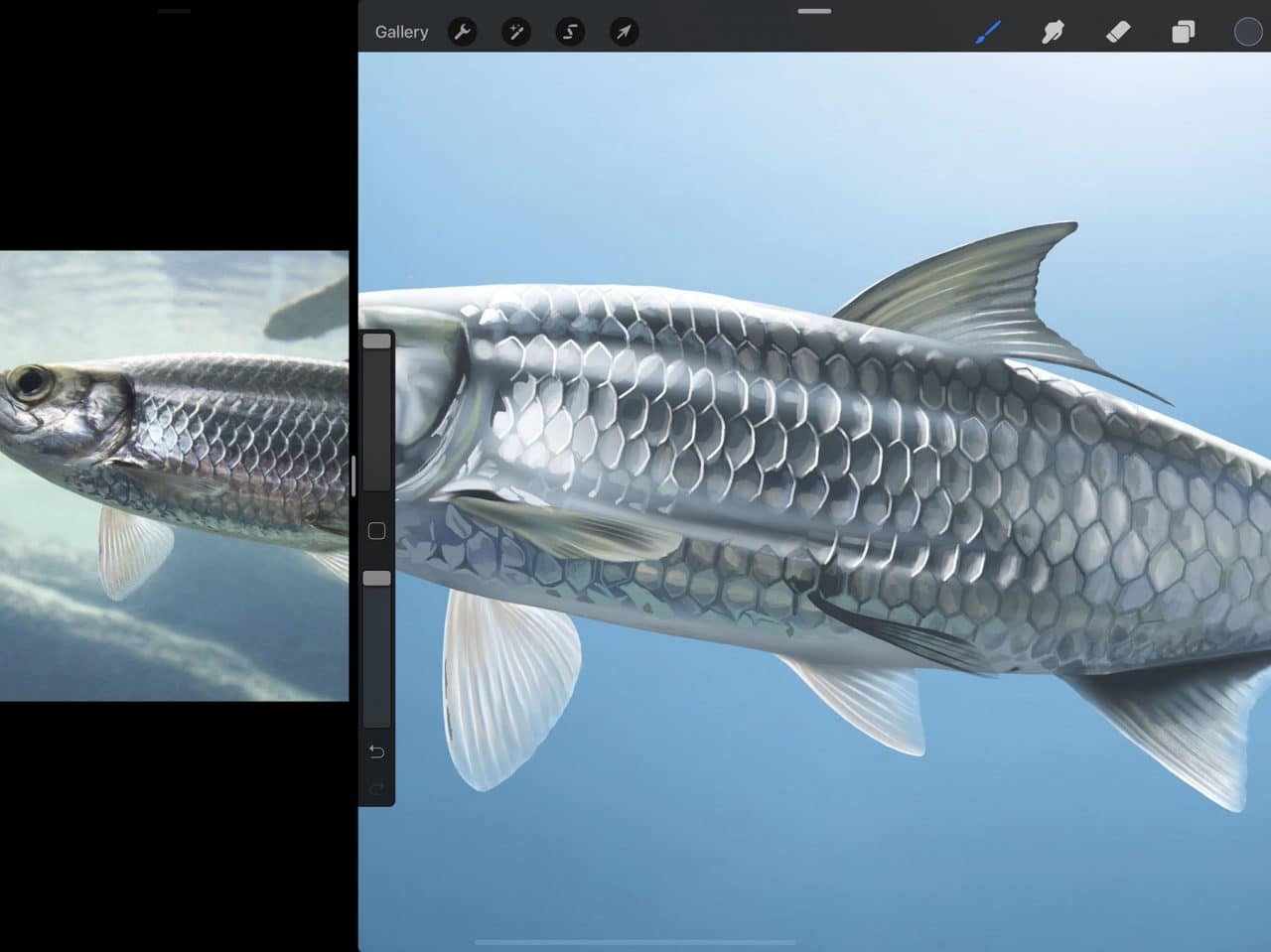 How to Draw A Fish: Attention to fine details make for more lifelike drawings