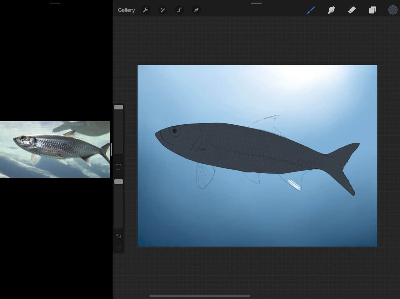 How to Draw Fish: Blocking out your shapes is a great way to start your painting