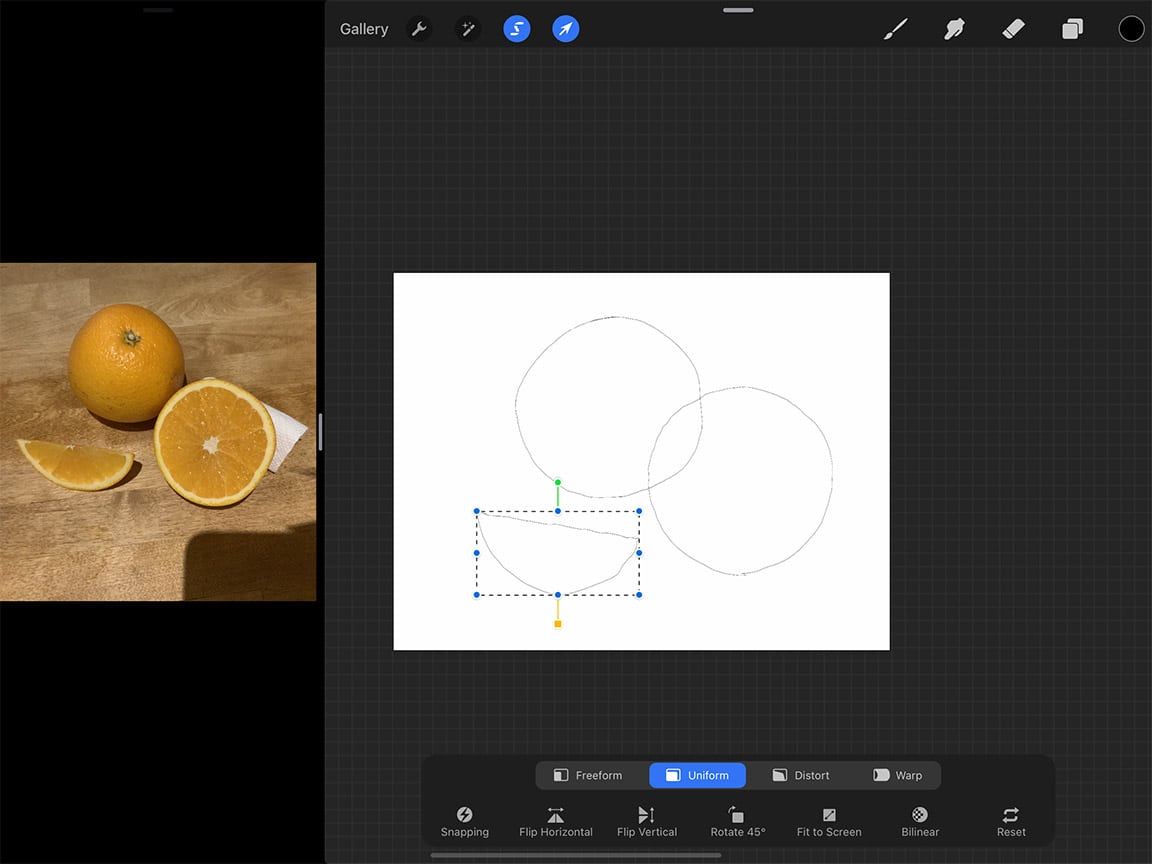  How to Draw an Orange: A rough sketch can be a great guide for your final coloured illustration 