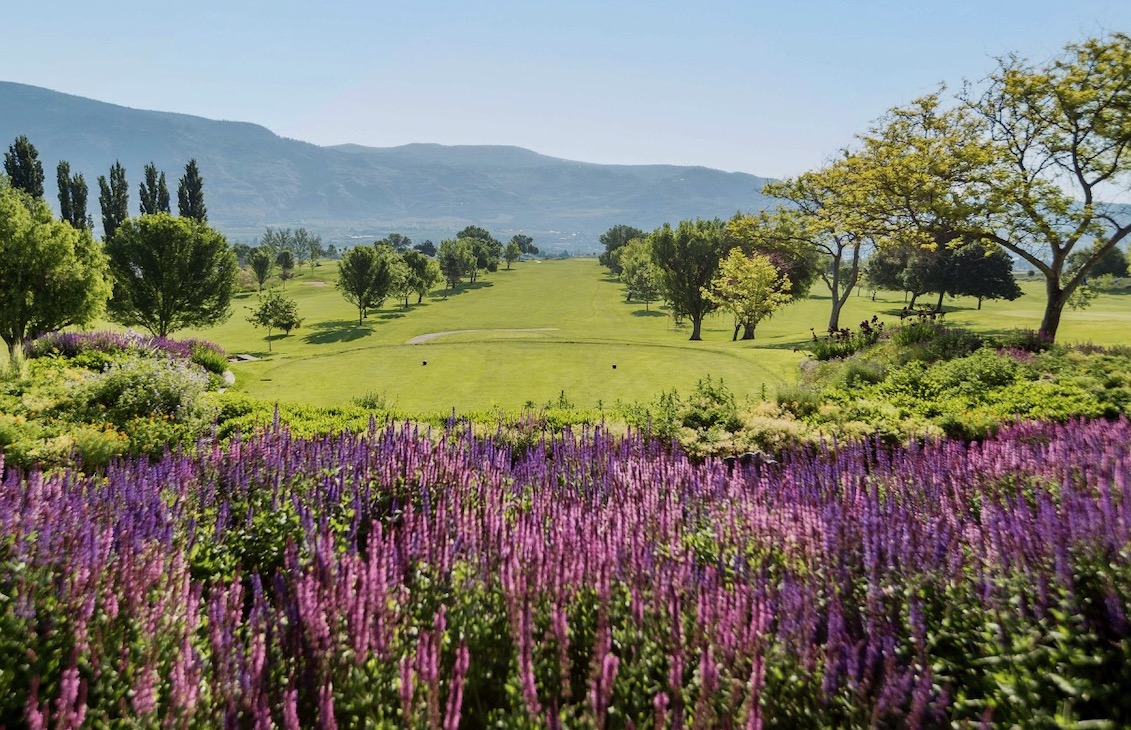Hit 9 holes in the desert at Osoyoos Golf Club.